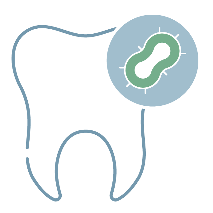 Icon graphic of a clean tooth and a toothbrush