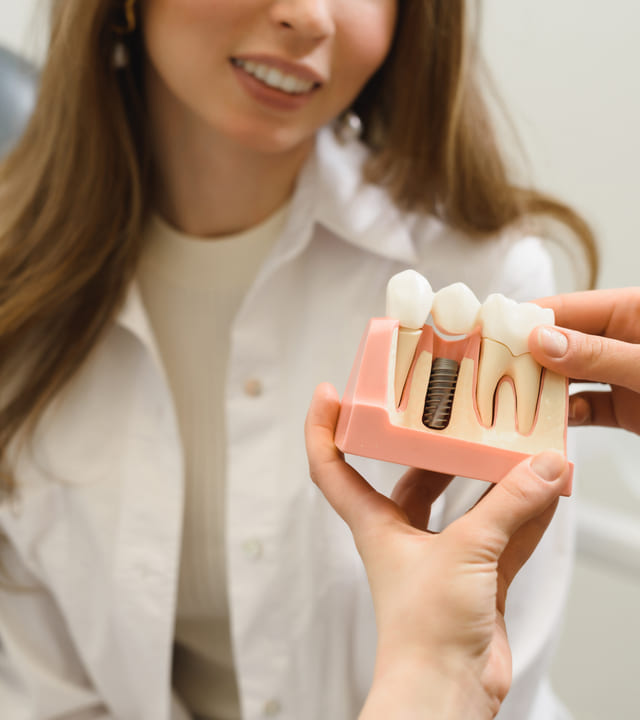 The dentist shows a model of a dental implant to a female patient