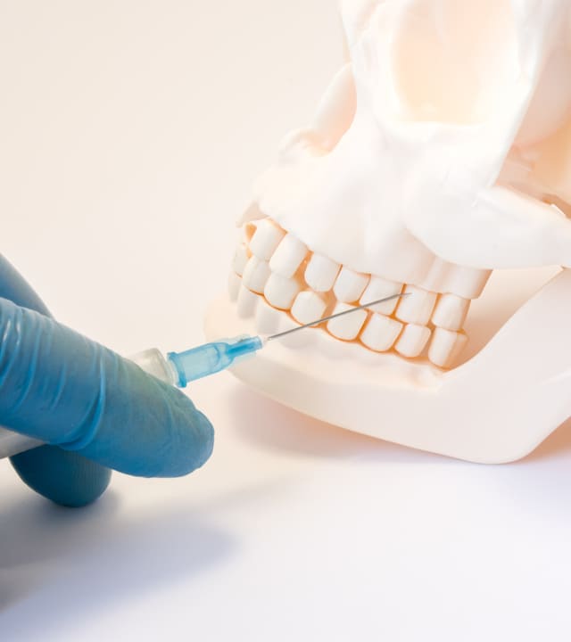 Doctor dentist holding syringe, needle stabs into upper jaw of a model skull above the teeth, pursuing dental anesthesia procedure